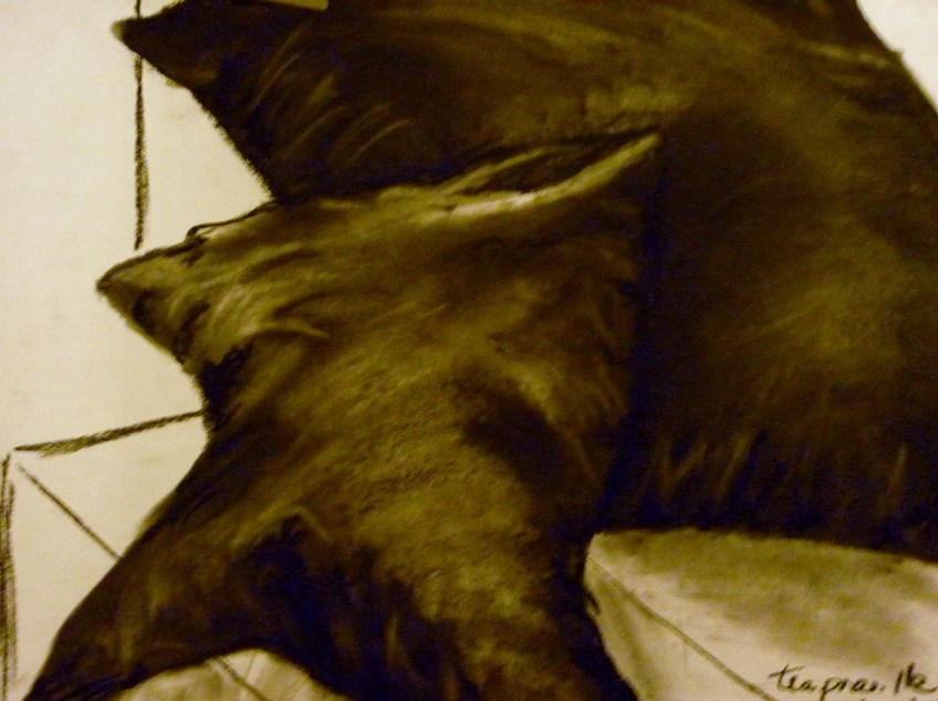 Tea Preville - 2003 - Still Life III - charcoal - Deb Thompson Workshop