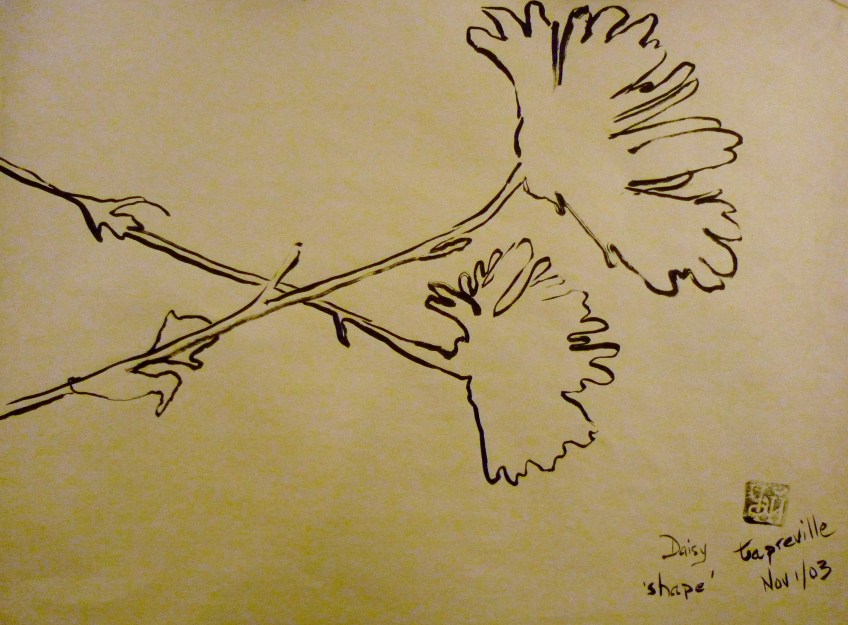 Tea Preville - 2003 - Still Life III - ink - Deb Thompson Workshop