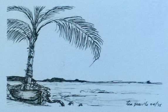 Tea Preville, Punta Mita 2, ink on paper, 2015