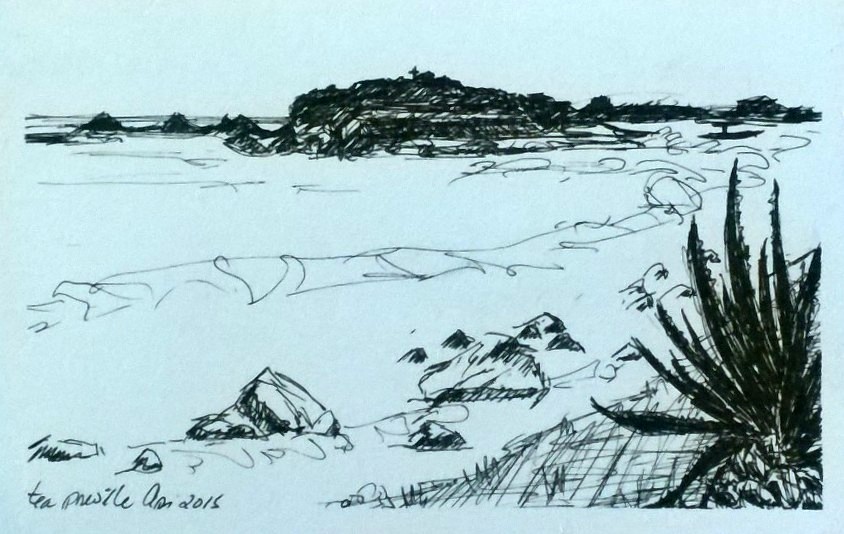 Tea Preville, Punta Mita 3, ink on paper, 2015